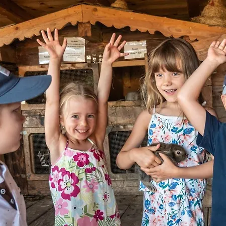 Hotel Alpin Family Seetal 4*