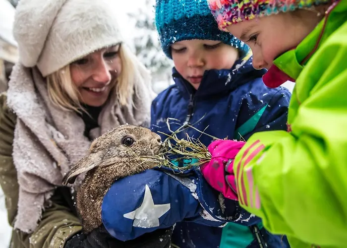 Alpin Family Seetal 4* Kaltenbach