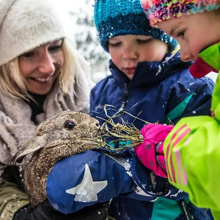 Alpin Family Seetal 4* Kaltenbach